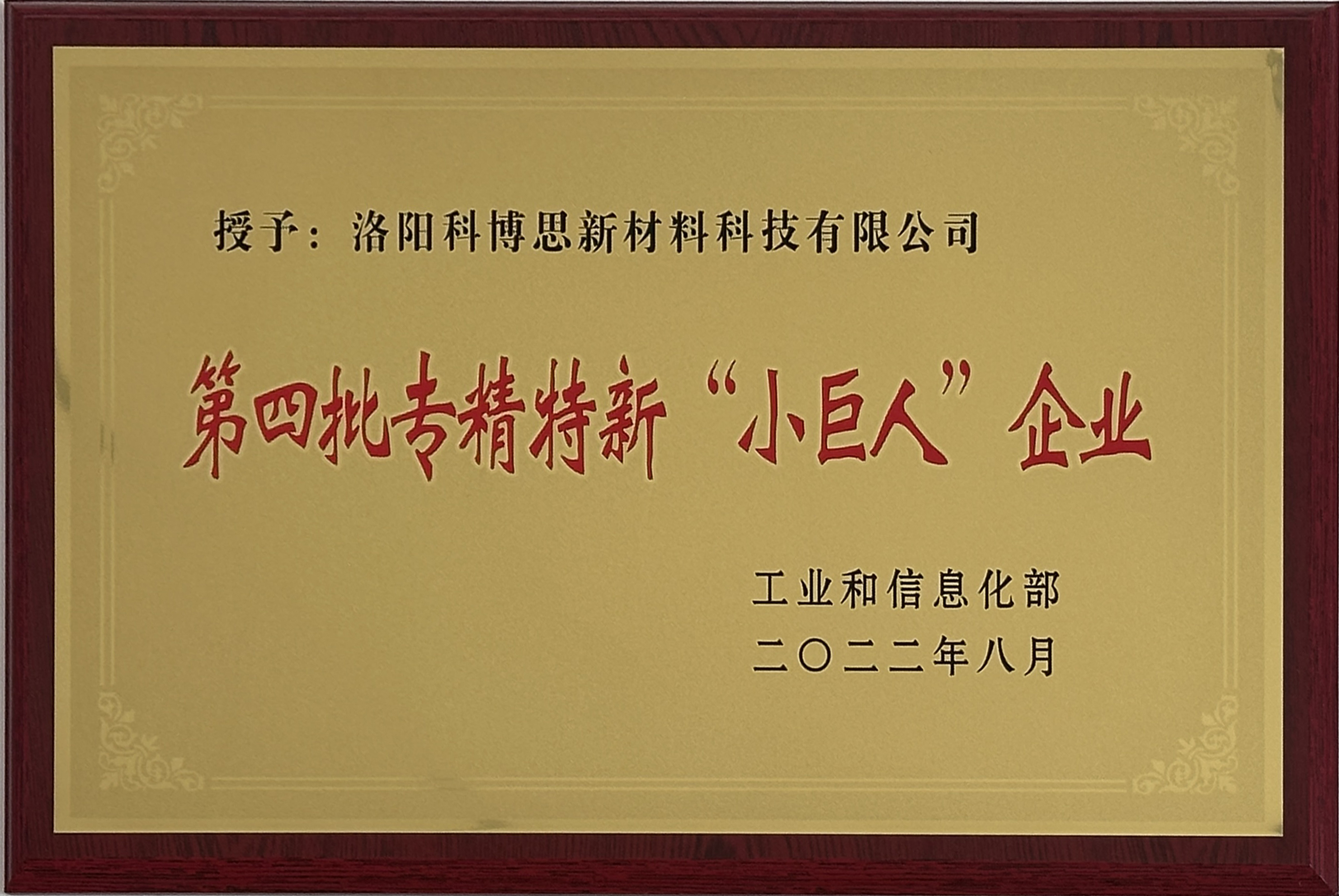 專精特新“小巨人”